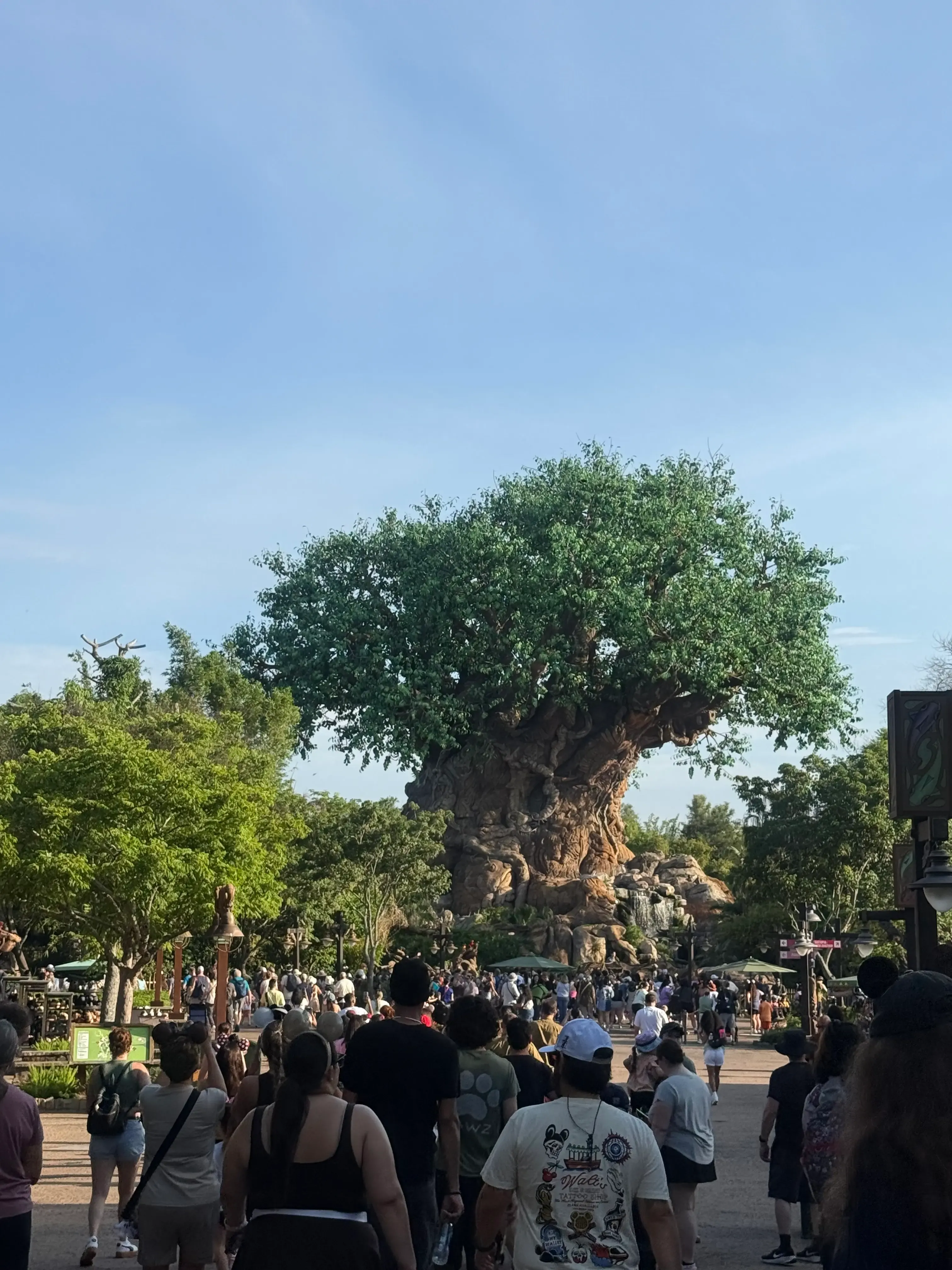 El Árbol de la Vida en Animal Kingdom